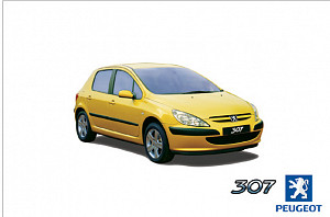 Peugeot 307 2002