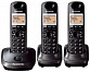 Panasonic KX-TG2513FX