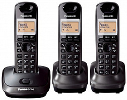Panasonic KX-TG2513FX
