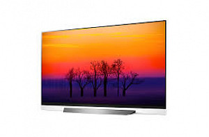 LG OLED65E8