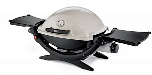 Weber Q 120