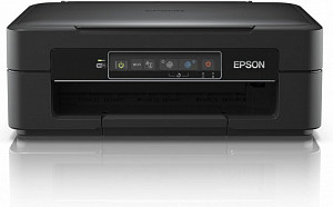Epson xp-245