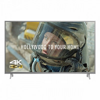 Panasonic TX-49FX613E